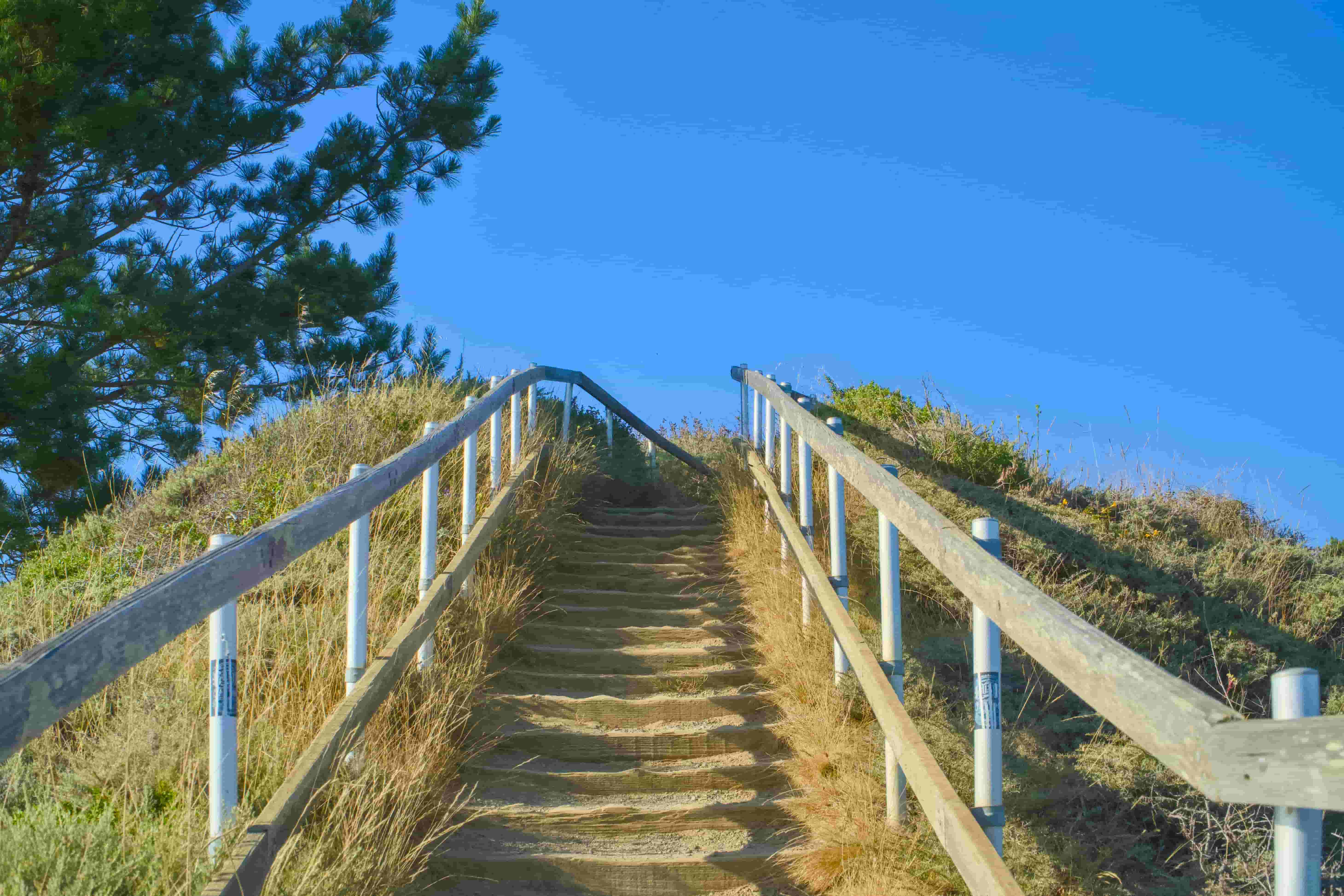 Coastal path with stairs leading toward open sky